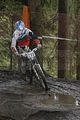 347__DSC0347 (2)
